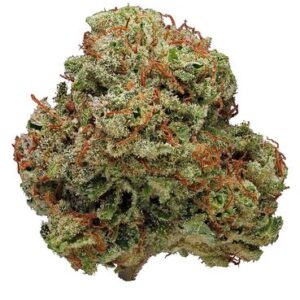 Bio-Jesus Cannabis Strain