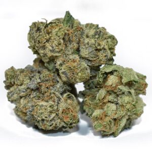 Buy Sativa Marijuana strain online Europe