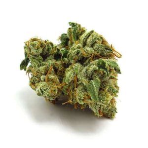 7-Way Marijuana Strain