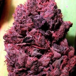 Columbian Red Marijuana Strain